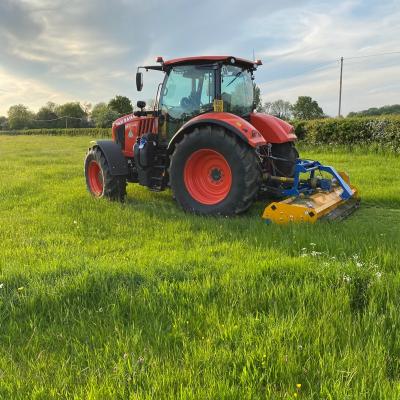 Malmesbury Paddock Maintenance 0009
