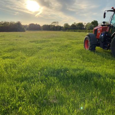 Malmesbury Paddock Maintenance 0010